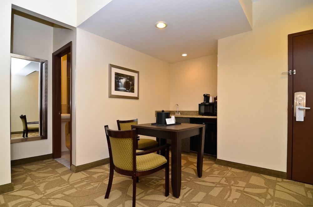Western The Inn&suites At The Falls Hotel
